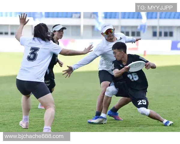 南京飞盘队的包夹革新探索与实践全景分析