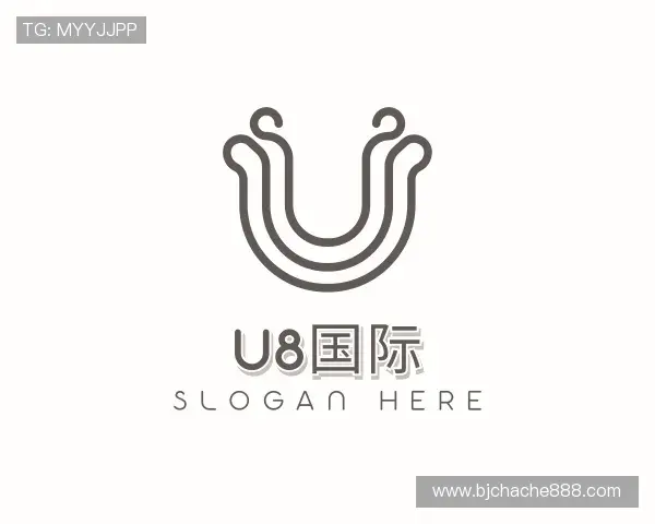 认识U8国际